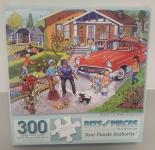 Image of a puzzle cover titled "Family Car Wash" that shows multiple people in front of a house while trying to wash a red car.